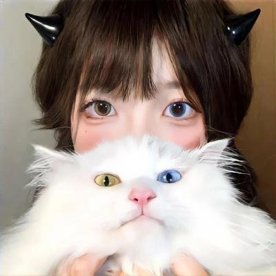 花开蝶满枝